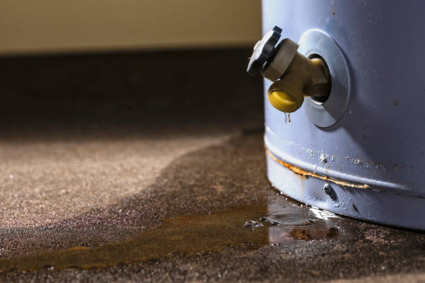 Best Water damage restoration experts  in Brickerville, PA