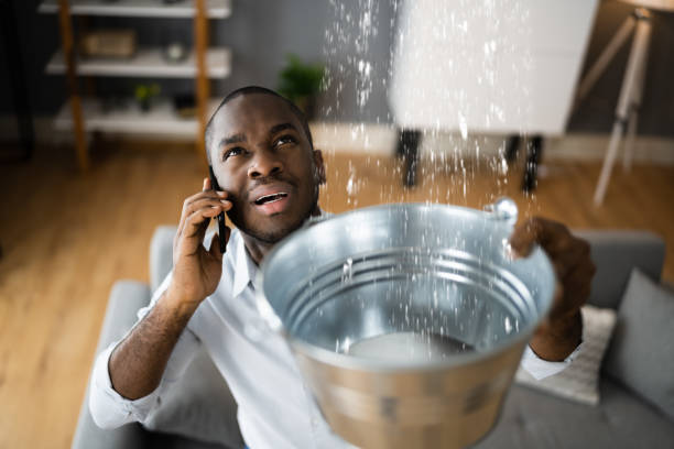 Best Water damage mitigation services  in Brickerville, PA