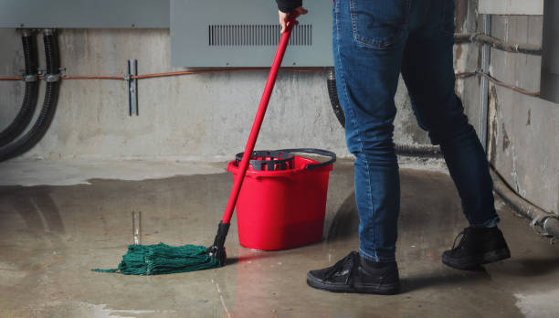 Best Mold removal after water damage  in Brickerville, PA