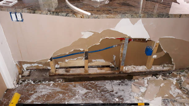 Best Professional water damage repair  in Brickerville, PA