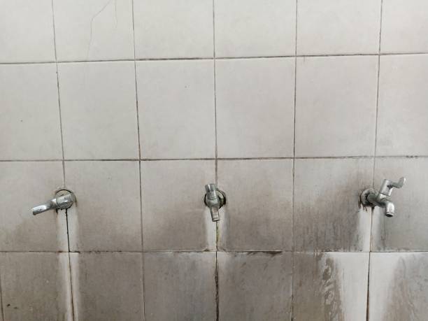 Best Water damage cleanup near me  in Brickerville, PA