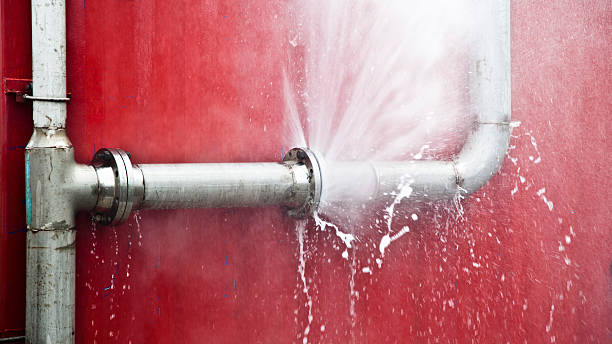 Best Professional water damage repair  in Brickerville, PA